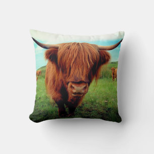 Scottish Highlander Cow Cushion
