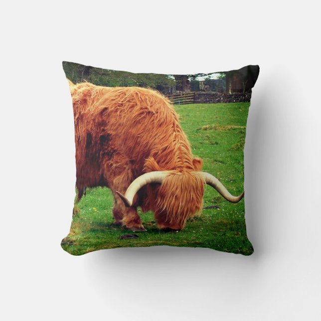 Scottish Highlander Cow Cushion (Front)
