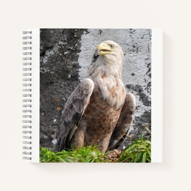 Scottish Highlands Eagle Rugged Nature Scene Notebook (Front)