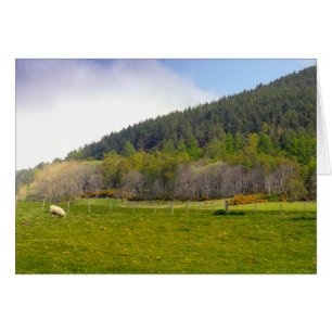 Scottish Highlands landscape