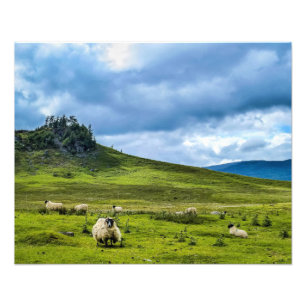 Scottish Highlands Photo Print