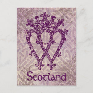 Scottish Luckenbooth Purple Celtic Knot Postcard