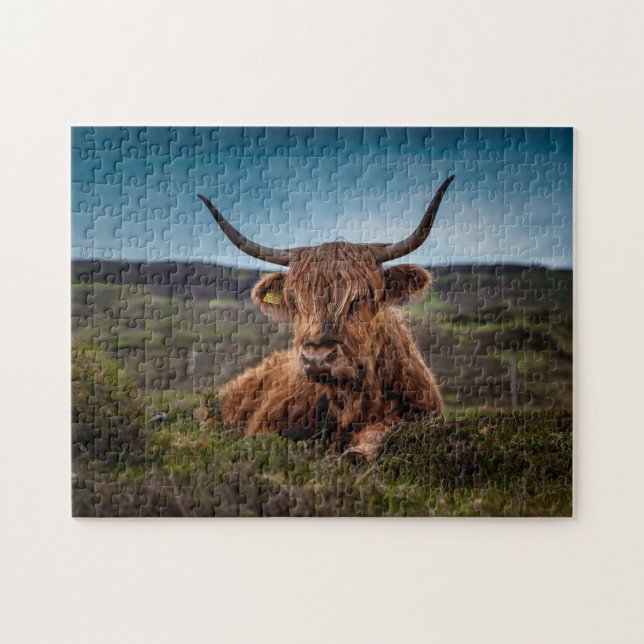 Scottish Oxen. Jigsaw Puzzle (Horizontal)