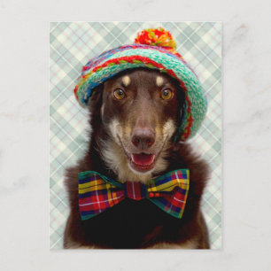 Scottish Postcard