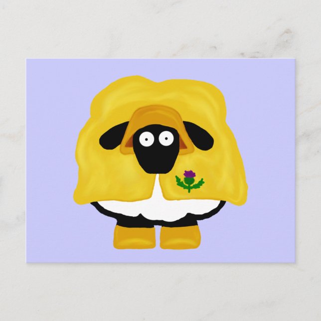 Scottish Sheep Postcard (Front)