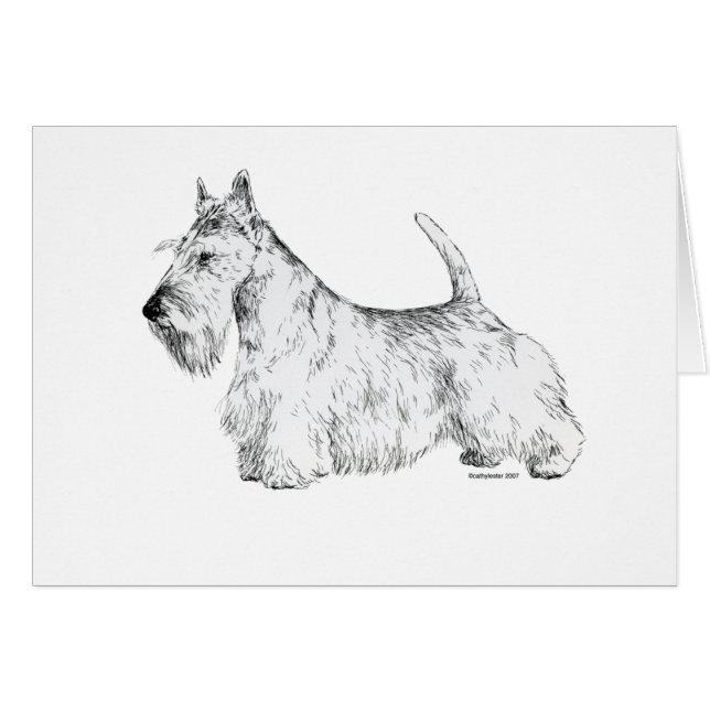 Scottish Terrier (Front Horizontal)