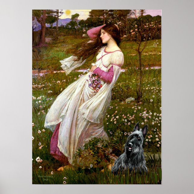 Scottish Terrier 3 - Windflowers Poster (Front)