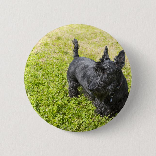 Scottish Terrier 6 Cm Round Badge (Front)