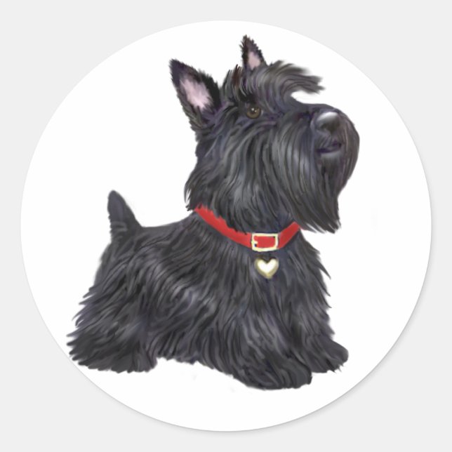 Scottish Terrier (A) - (by JBF) Classic Round Sticker (Front)