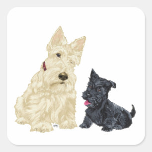 Scottish Terrier Adult and Puppy Square Sticker