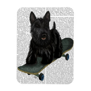 Scottish Terrier and Skateboard Magnet