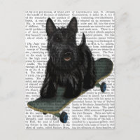 Scottish Terrier and Skateboard