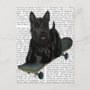Scottish Terrier and Skateboard Postcard