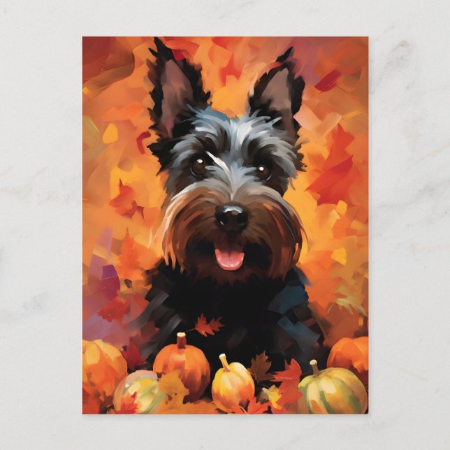Scottish Terrier Autumn Thanksgiving  Postcard (Front)