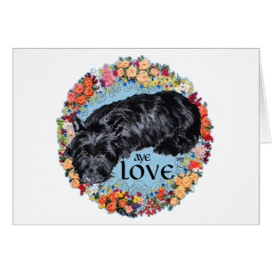 Scottish Terrier:  Aye, Love!