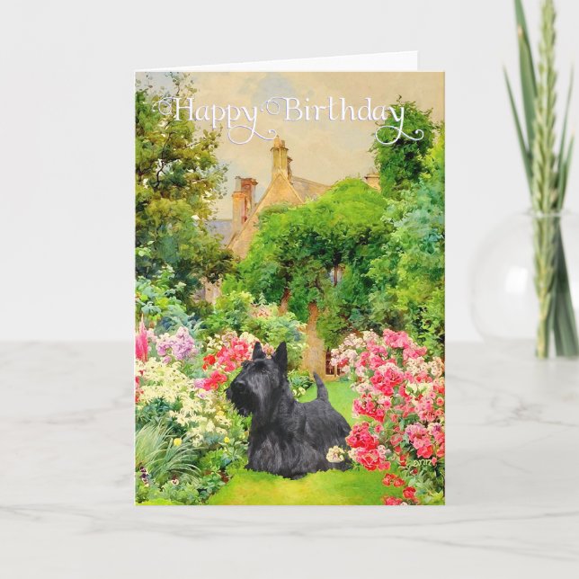Scottish Terrier Birthday Card (Front)