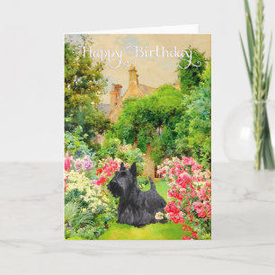 Scottish Terrier Birthday Card