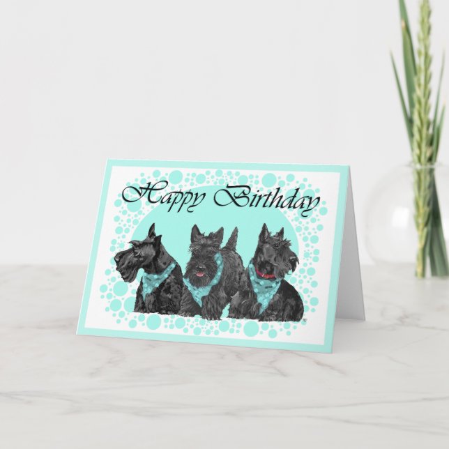 Scottish Terrier Birthday Card (Front)