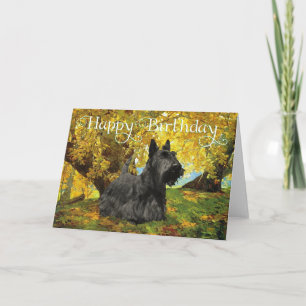 Scottish Terrier Birthday Card
