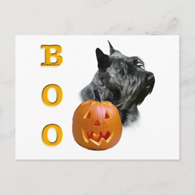 Scottish Terrier (black) Boo Postcard (Front)