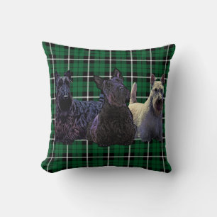 Scottish Terrier black/wheaten, kelly green plaid Cushion