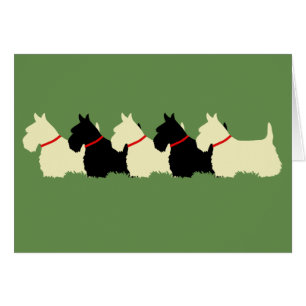 Scottish Terrier black/wheaten silhouette blank