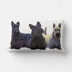 Scottish Terrier black/wheaten trio, black dog Lumbar Cushion