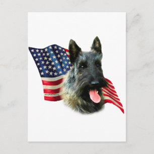 Scottish Terrier (brindle) Flag Postcard
