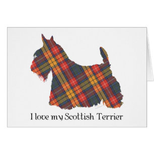 Scottish Terrier Buchanan Tartan