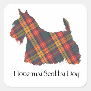 Scottish Terrier Buchanan Tartan Square Sticker