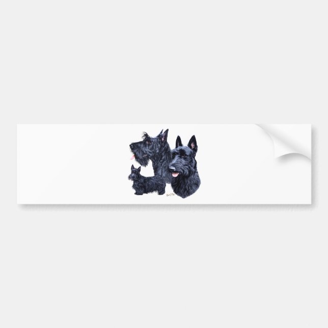 Scottish Terrier Bumper Sticker (Front)