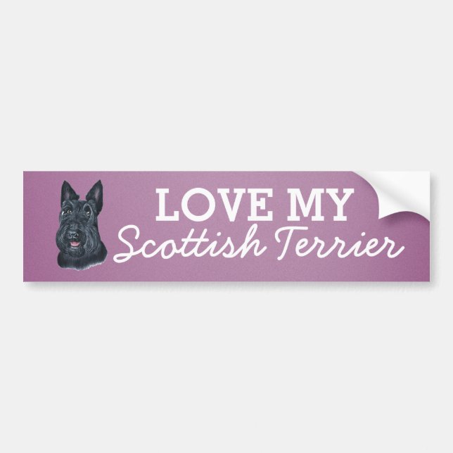 Scottish Terrier Bumper Sticker (Front)