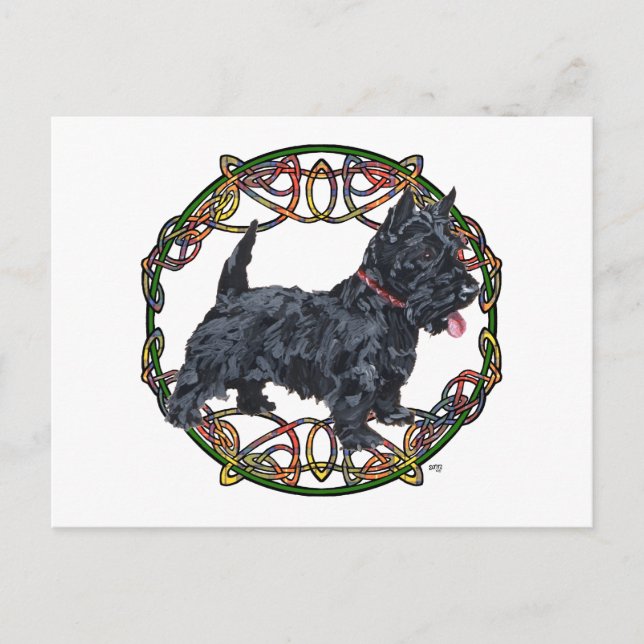 Scottish Terrier Celtic Knotwork Postcard (Front)