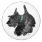 Scottish Terrier