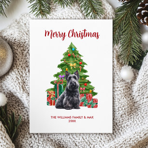 Scottish Terrier Christmas Card