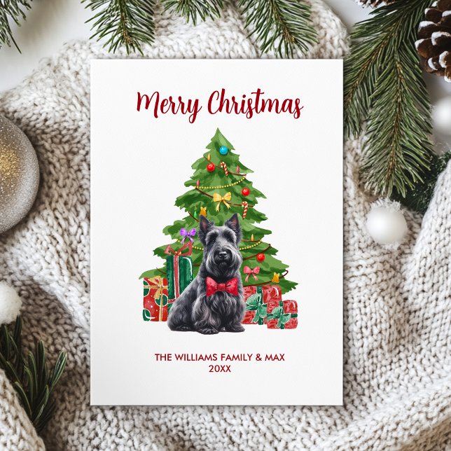 Scottish Terrier Christmas Card (Creator Uploaded)