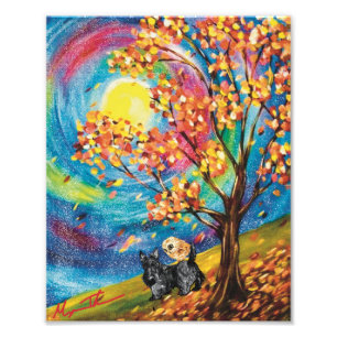 Scottish Terrier Colourful Autumn Photo Print
