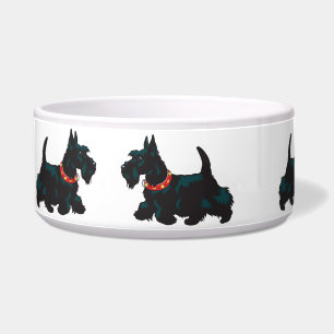 scottish terrier dog