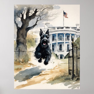 Scottish Terrier - Dog Art Print