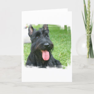 Scottish Terrier Dog Greeting Card