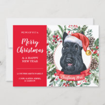 Scottish Terrier Dog Inexpensive Christmas Card