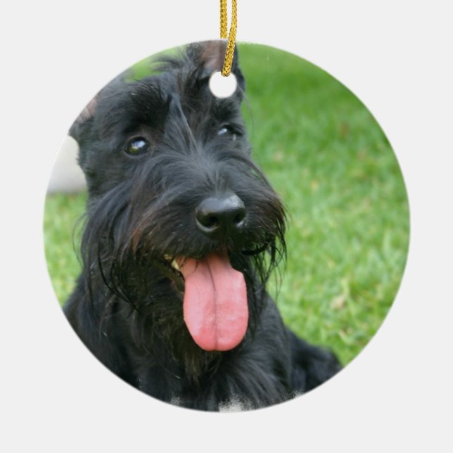 Scottish Terrier Dog Ornament (Front)