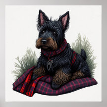 Scottish Terrier Dog