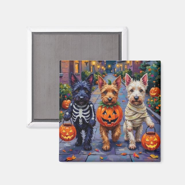 Scottish Terrier Dogs in Halloween Costumes Magnet (Front/Back)