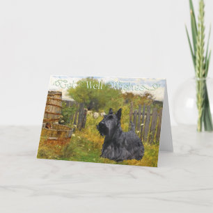 Scottish Terrier Get Well Wishes Card