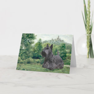 Scottish Terrier Get Well Wishes Card
