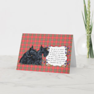 Scottish Terrier Greeting Card