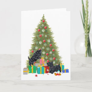Scottish Terrier Greeting Card