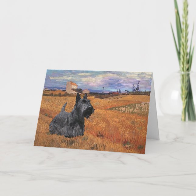 Scottish Terrier Greeting Card (Front)