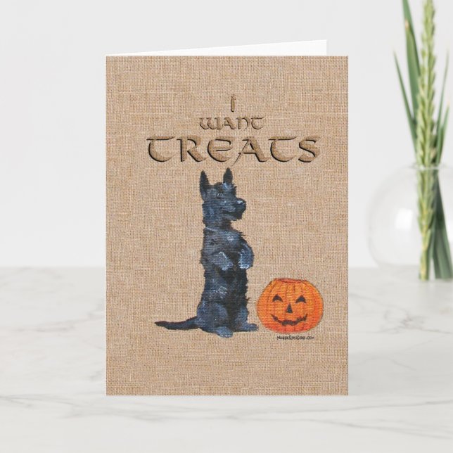 Scottish Terrier Greeting Card (Front)